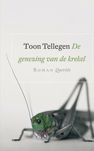 De genezing van de krekel by Toon Tellegen