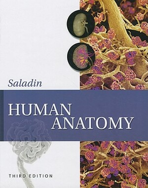 Human Anatomy by Kenneth S. Saladin, Susannah Longenbaker