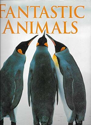 Fantastic Animals by Michael Hansel, Tim Guilford, Tim Guildford, Timothy Halliday, Terrence Lindsey, Michael Robinson