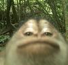 sharooowuuu's profile picture