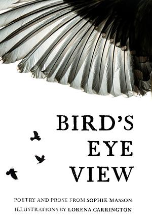 Bird's Eye View by Sophie Masson