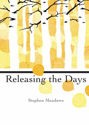 Releasing the Days by Stephen Meadows