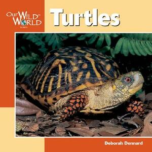 Turtles by Deborah Dennard