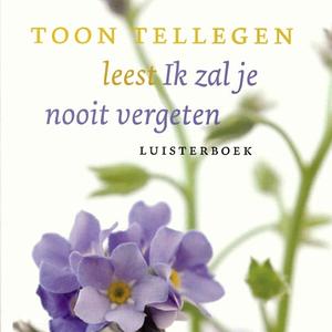 Ik zal je nooit vergeten by Toon Tellegen