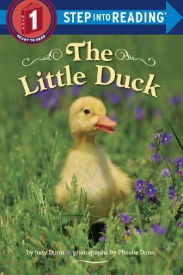 The Little Duck by Judy Dunn