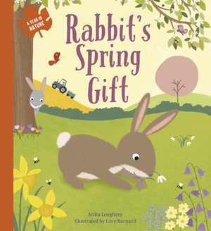 Rabbit's Spring Gift by Anita Loughrey