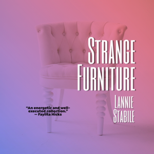 Strange Furniture by Lannie Stabile