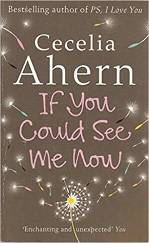 If You Could See Me Now by Cecelia Ahern