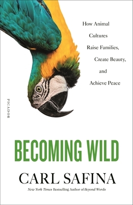 Becoming Wild: How Animal Cultures Raise Families, Create Beauty, and Achieve Peace by Carl Safina