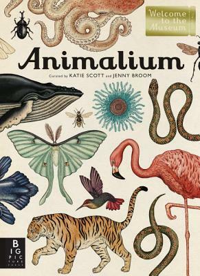 Animalium by Jenny Broom, Katie Scott