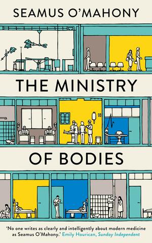 The Ministry of Bodies: A Year of Life and Death in a Modern Hospital by Seamus O'Mahony