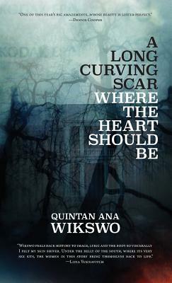 A Long Curving Scar Where the Heart Should Be by Quintan Ana Wikswo