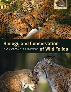 The Biology and Conservation of Wild Felids by Andrew Loveridge, David MacDonald