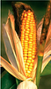 spencer_was_here's profile picture