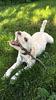 teeticker's profile picture