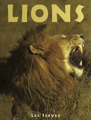 Lions: A Portrait of the Animal World by Lee Server