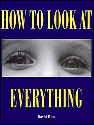 How to Look At Everything by David Finn