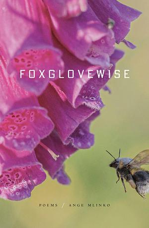 Foxglovewise: Poems by Ange Mlinko