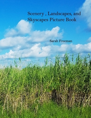 Scenery, Landscapes, and Skyscapes Picture Book by Sarah Freeman