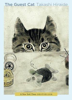 The Guest Cat Paperback – January 28, 2014 by Takashi Hiraide, Takashi Hiraide