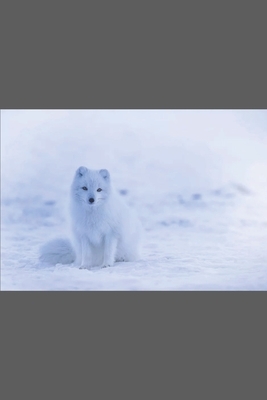White Fox by Happy Paw Publishing