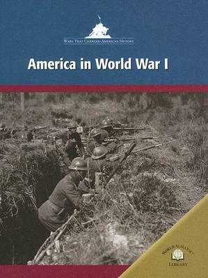 America in World War I by Richard Worth