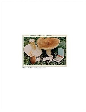 The Mushroom Collector by Jason Fulford