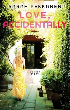 Love, Accidentally by Sarah Pekkanen