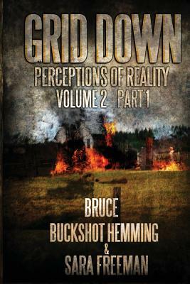 Grid Down Perceptions Of Reality Vol 2 Book 1: Vol 2 Book 1 by Sara Freeman, Bruce Buckshot Hemming