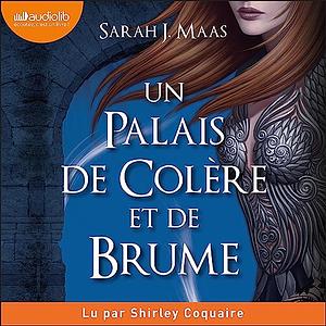 Un Palais de colère et de brume by Sarah J. Maas