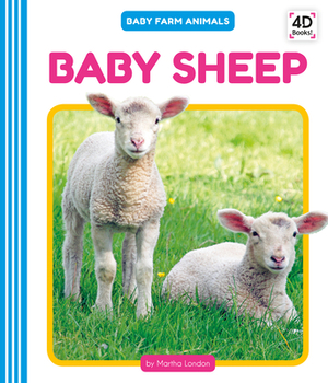 Baby Sheep by Martha London