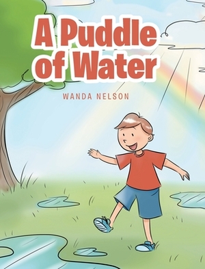 A Puddle of Water by Wanda Nelson