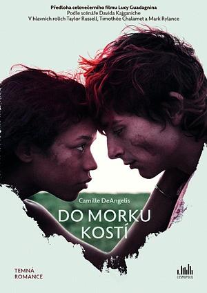 Do morku kostí  by Camille DeAngelis