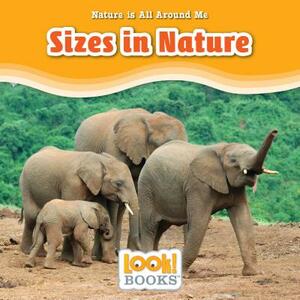 Sizes in Nature by Jennifer Marino Walters