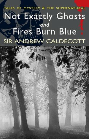 Not Exactly Ghosts & Fires Burn Blue by Andrew Caldecott, David Stuart Davies