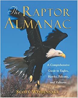 The Raptor Almanac: A Comprehensive Guide to Eagles, Hawks, Falcons, and Vultures by Scott Weidensaul