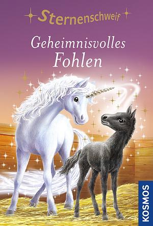 Geheimnisvolles Fohlen by Linda Chapman