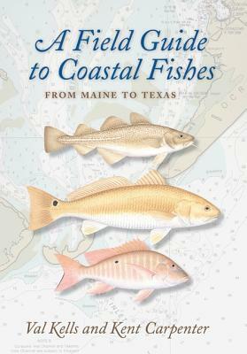 A Field Guide to Coastal Fishes: From Maine to Texas by Kent Carpenter, Valerie A. Kells