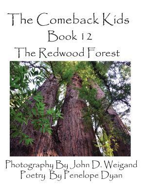 The Comeback Kids, Book 12, the Redwood Forest by Penelope Dyan