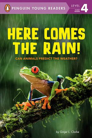 Here Comes the Rain by Ginjer L. Clarke