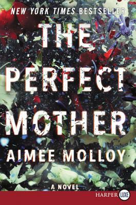 The Perfect Mother by Aimee Molloy