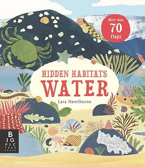 Hidden Habitats: Water by Lily Murray, Lara Hawthorne