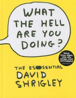 What the Hell Are You Doing?: The Essential David Shrigley by David Shrigley