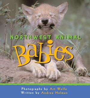 Northwest Animal Babies by Andrea Helman