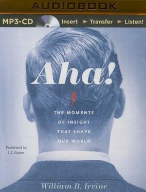 AHA!: The Moments of Insight That Shape Our World by William B. Irvine