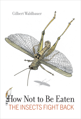 How Not to Be Eaten: The Insects Fight Back by Gilbert Waldbauer