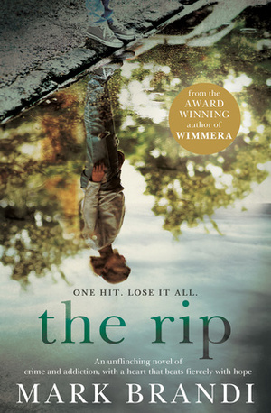 The Rip by Mark Brandi
