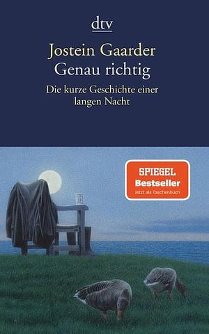 Genau richtig: Die kurze Geschichte einer langen Nacht by Jostein Gaarder