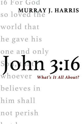 John 3: 16 by Murray J. Harris