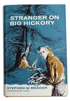 Stranger on Big Hickory by Stephen W. Meader, Don Lambo